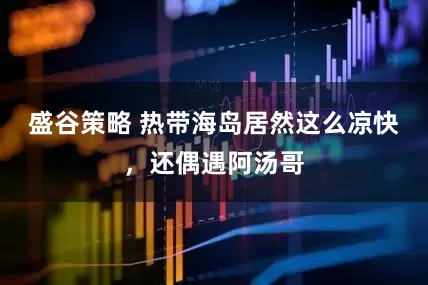 盛谷策略 热带海岛居然这么凉快，还偶遇阿汤哥