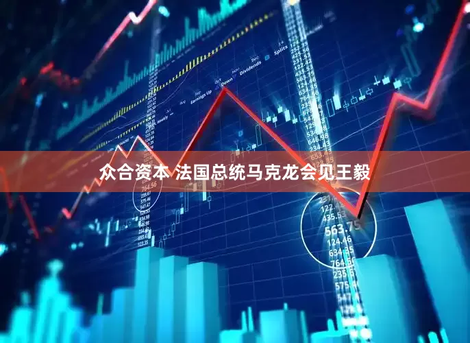 众合资本 法国总统马克龙会见王毅