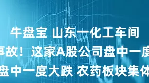 牛盘宝 山东一化工车间发生爆炸事故！这家A股公司盘中一度大跌 农药板块集体走强